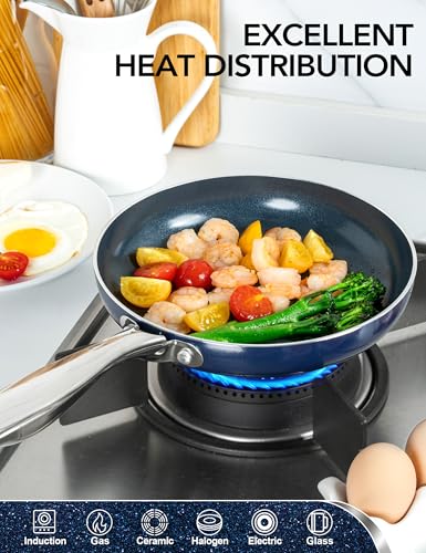 Large Frying Pan with Lid (14 inch)