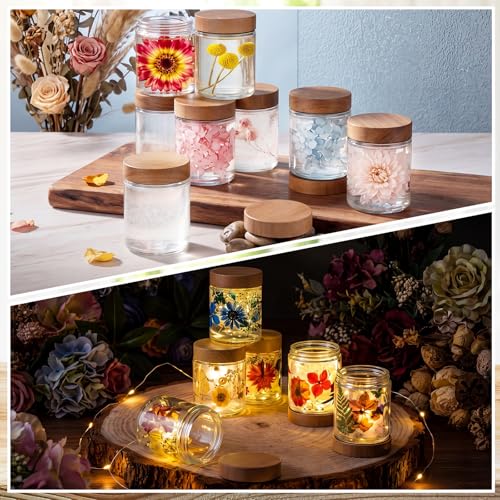 24 Pcs 8oz Glass Jars with Lids Empty Small Glass Containers and Inner Liners Reusable Cosmetic Jars Round Airtight Bottles with Plastic Wood Grain Lids for Travel (Walnut Wood Grain / 8 oz)