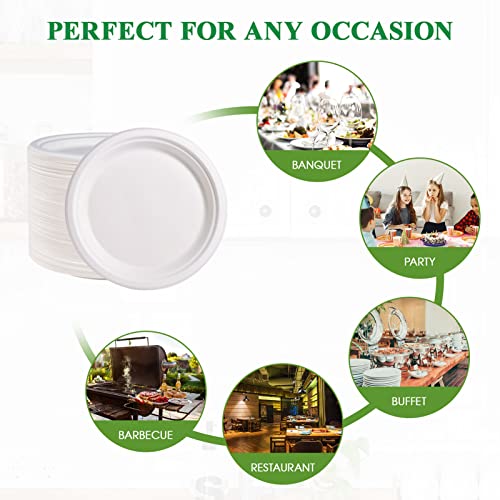 150 Pack Paper Plates 9 inch 100% Compostable (9 in White 150)