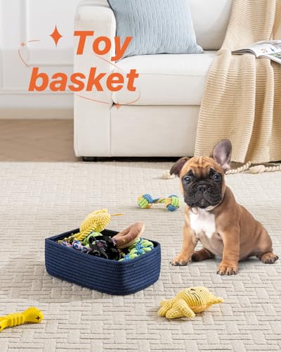 Small Woven Storage Basket for Organizing (Navy Blue / 12"L x 8"W x 4.5"H)