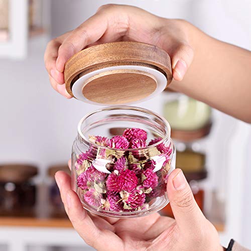8 Pcs Spice Containers (clear)