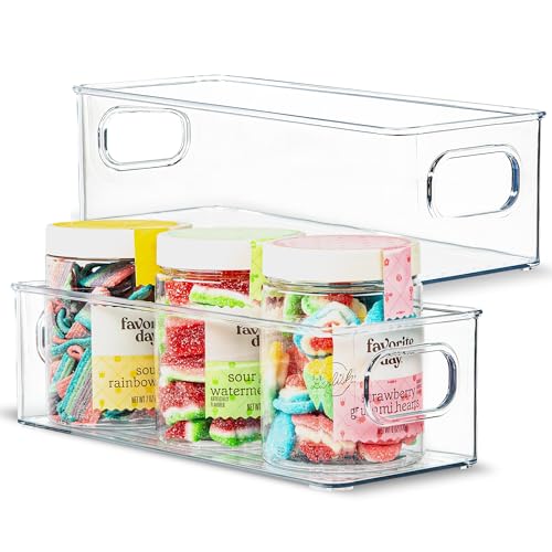 Plastic Food Storage Clear Container 2 Pack Bin with Handles for Organizing Kitchen (2 Count)