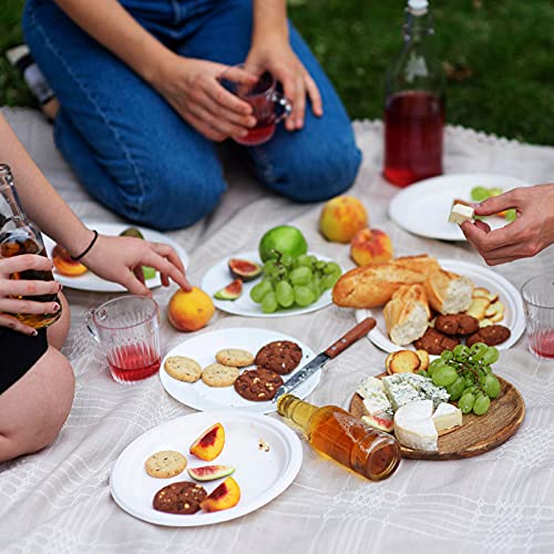 150 Pack Compostable Disposable Paper Plates 10.25 inch Super Strong Paper Plates 100% Bagasse Natural Biodegradable Eco (White / Contemporary)