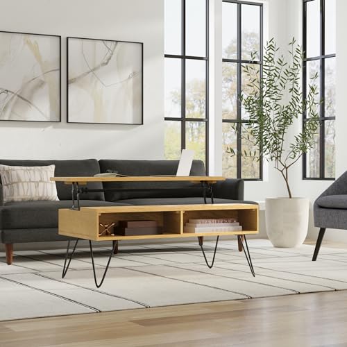 Hunter 48" Wide Rectangle Lift Top Coffee Table in Oak Veneer (Lift Top Coffee Table / 48 inch / Oak Veneer)
