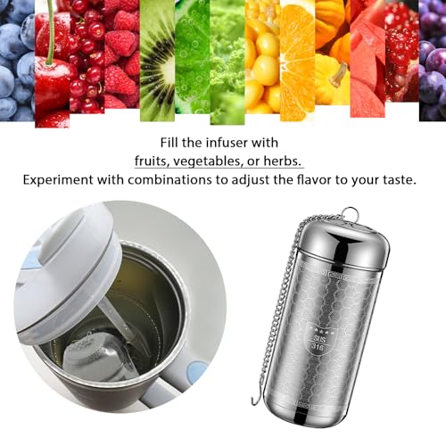 Largr Size Stainless Steel Tea Infuser Wide Mouth Bottles (DK114-STL-L)