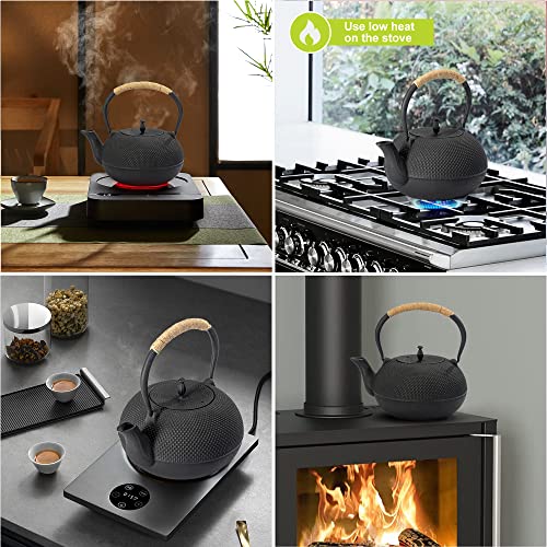 Japanese Tetsubin Tea Kettle Cast Iron Teapot with Stainless Steel Infuser 60 oz (60 oz / 1800 ml)
