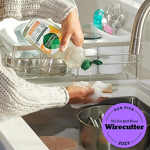 Dish Liquid Soap (19 Fl Oz (Pack of 6))