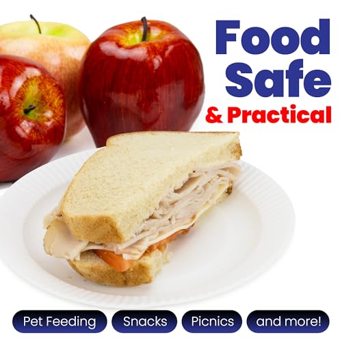 Paper Plates 6 (100-Pk / 6-Inch)