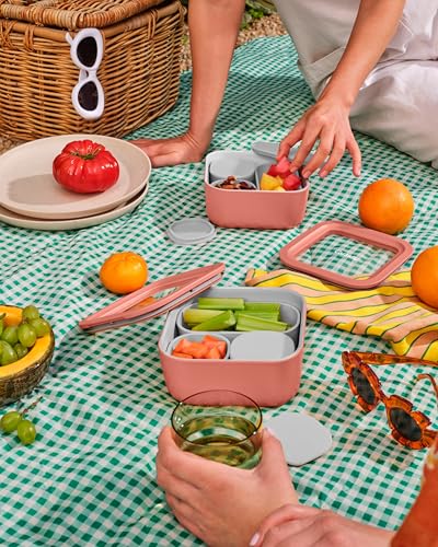 2 Piece Glass Food Storage Set with Lids (Mist / 4.4 Cup Food Storage (2x))