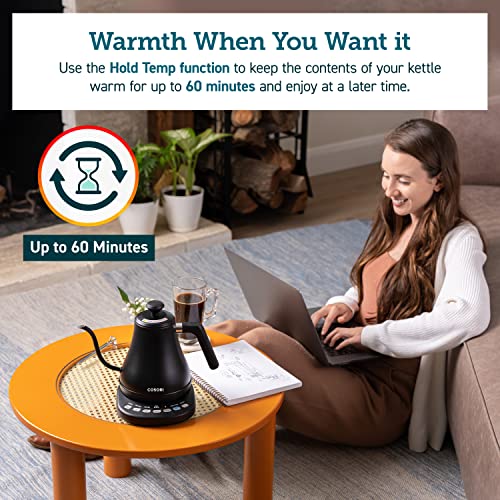 Smart Gooseneck Electric Kettle (Matte Black / 0.8 Quarts)