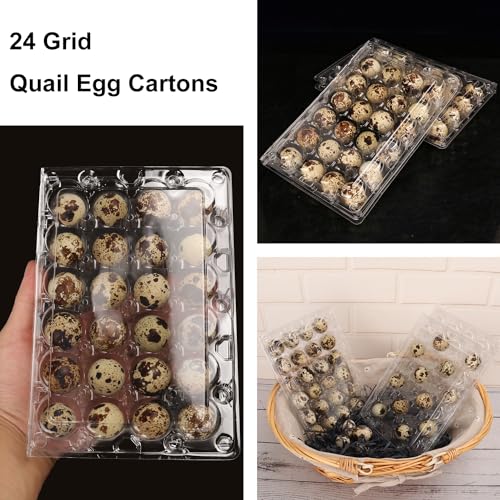 120 Pack Quail Egg Cartons (120 Pack Quail Egg Cartons 24 Grids)