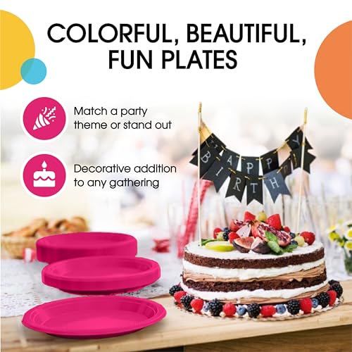 Party Solids Sturdy Hot Pink Plastic Plates 10" Party Plates 100 Pcs (10 inch / Cerise)