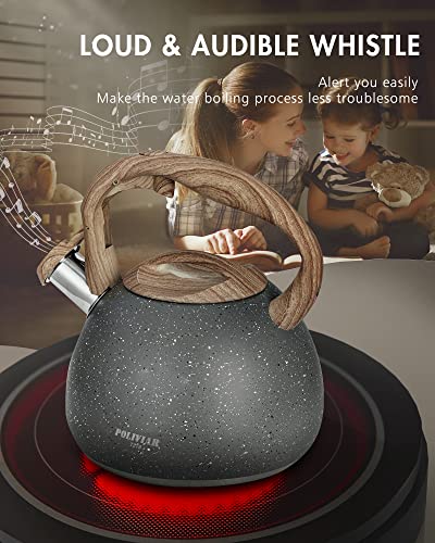 POLIVIAR Tea Kettle (2.7 Quarts / Gray)