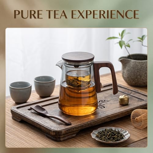 Magnetic Glass Teapot with Infuser (Round 750)