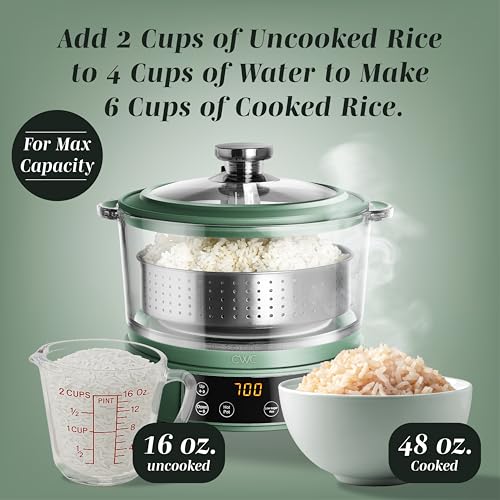 Glass Mini Low Carb Rice Cooker