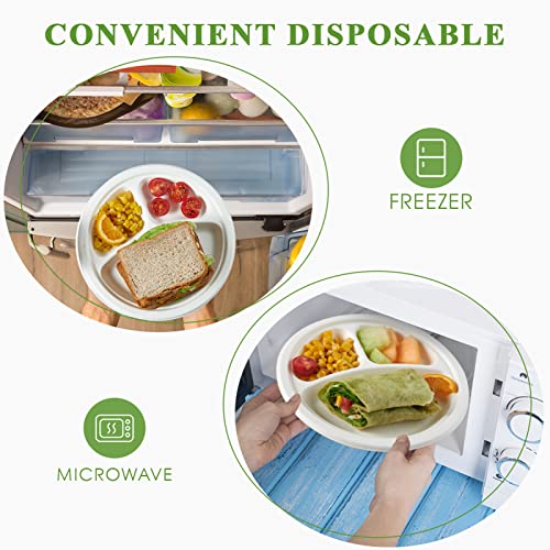 Compostable Paper Plates (3 Compartment 9 inch White)