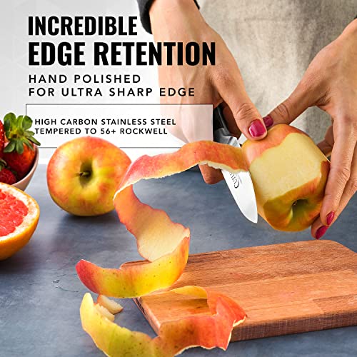 Kitchen Knives (5 Pcs Knife Set without Block)