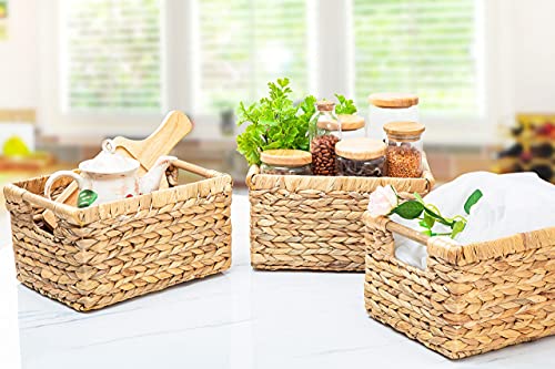 Natural Water Hyacinth storage basket with Handle (Water Hyacinth / 3-Pack Medium (12.2"L x 8.9"W x 6.9"H))