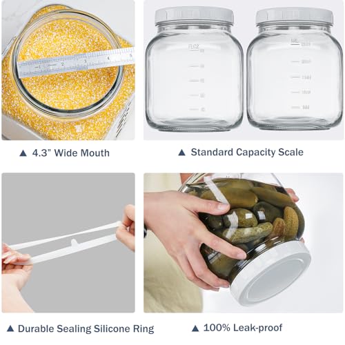 0.8Gal Glass Jar with Lid (0.8 Gallon)
