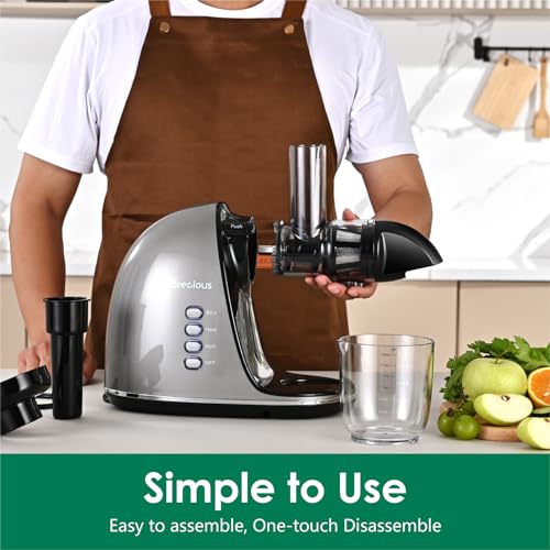 Slow Masticating Juicer