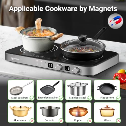 Double Induction Cooktop (Iron Grey)