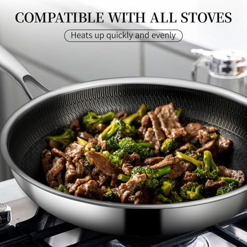 11" Stainless Steel Frying Pan with Lid (11 Inch)