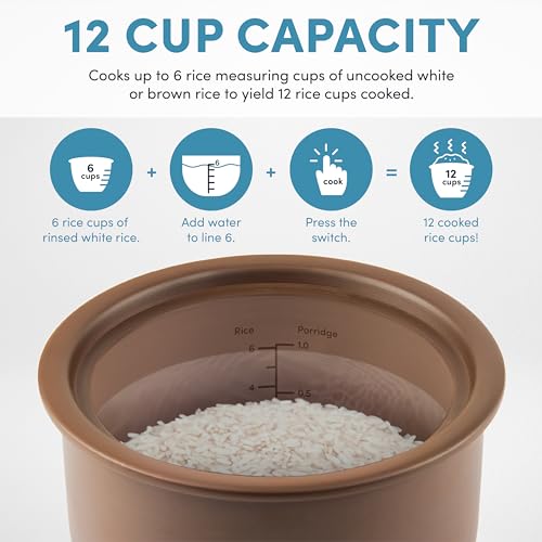 Professional Rice Cooker with Purple Clay Cooking Pot