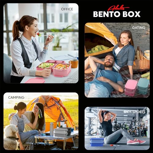 Adult Bento Box Lunch Box (72 Ounce)
