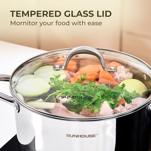 6 QT Stainless Steel Stock Pot with Lid