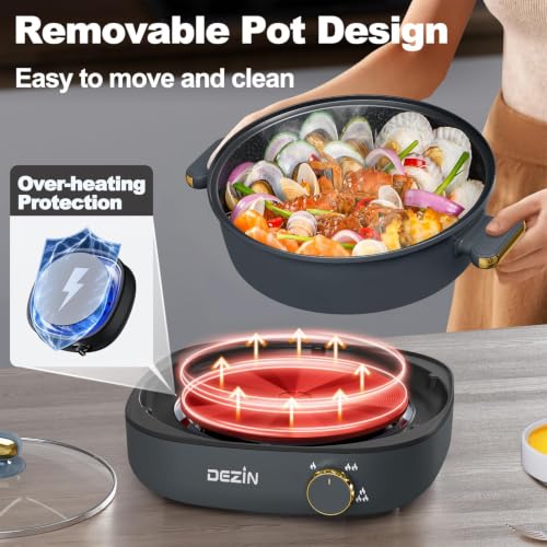 5 QT Electric Shabu Shabu Pot with Removable Pot (Black)