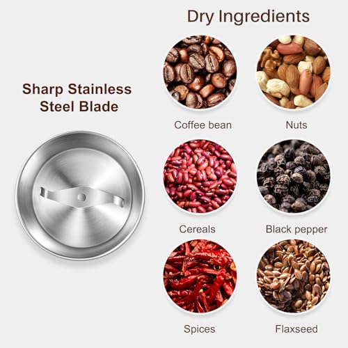 Electric Coffee and Spice Grinder (Stainless / 1 removable bowl)