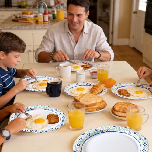 8.375 Inch Paper Plates (288 Count (Pack of 1))