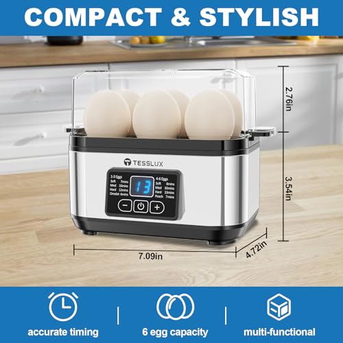 Electric Egg Cooker (Silver)