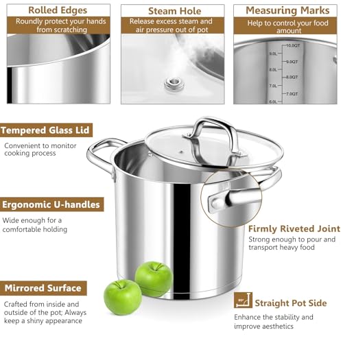 10 QT Stainless Steel Stock Pot with Lid (10 Quarts)