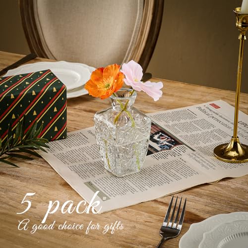 Glass Bud Vase Set of 5 Pcs Small Minimalist Vases for Flowers (Clear)