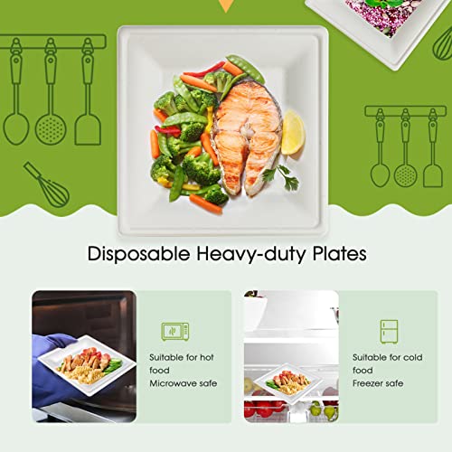120 Pack Compostable Paper Plates Disposable (10 inch and 8 inch)