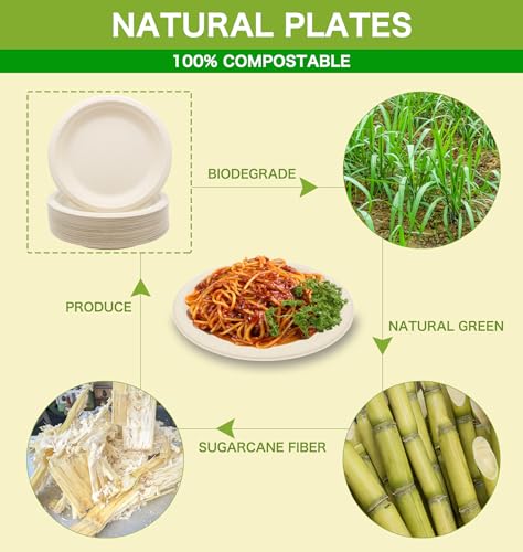 100% Compostable Disposable Paper Plates Heavy Duty Waterproof Plates (10 INCH / 50 PCS PLATES)