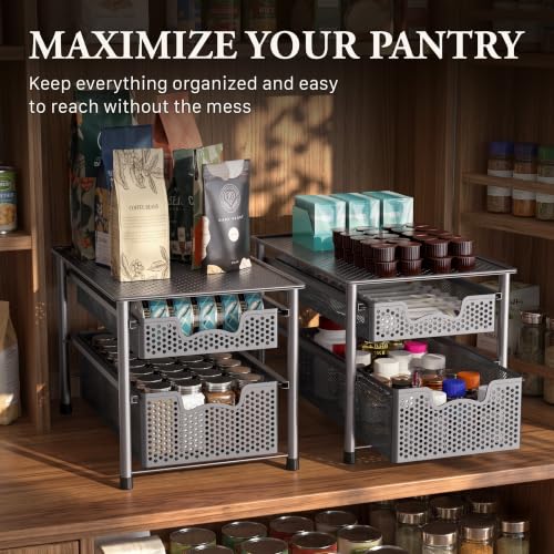 Stackable 2 Tier Sliding Basket Organizer Drawer (2-Tier / Silver)