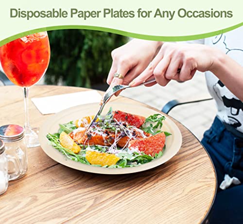 Disposable Paper Plates 9 inch (9 inch 50 pack)