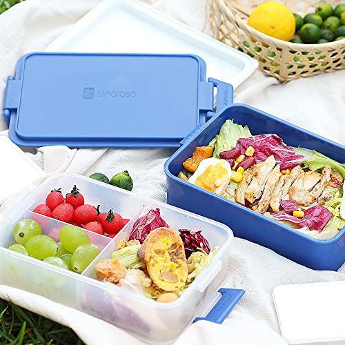 Stackable 2 Tier Adult Bento Box