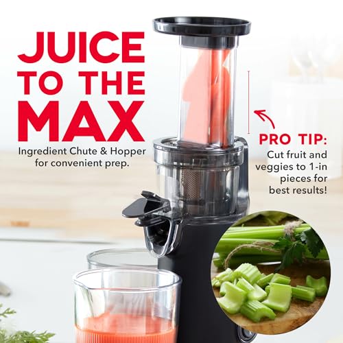 Deluxe Compact Cold Press Juicer (Compact / Black)