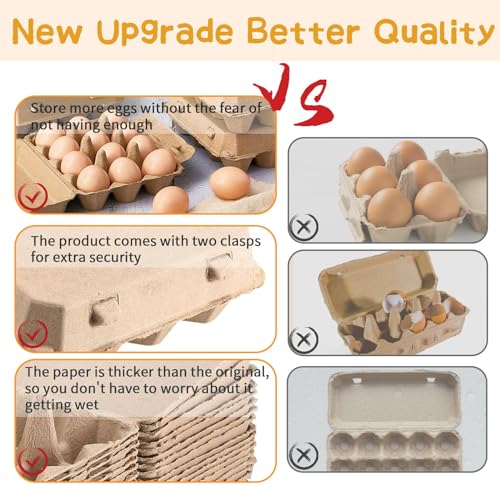 Egg Cartons 20 Pack