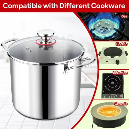 12 QT Stock Pot with Lid (12 Quarts)