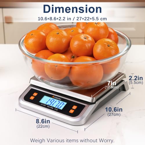 88lb Food Scale (Silver 88 lb (40 kg))
