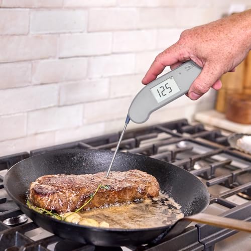 Thermapen ONE