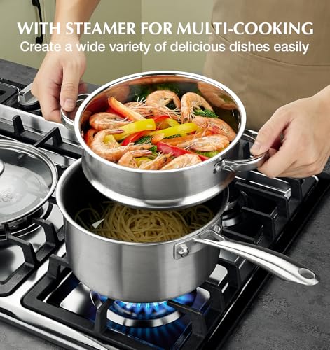 Hybrid Nonstick Stainless Steel Sauce Pan with Steamer Insert (2 Quarts / Silver)