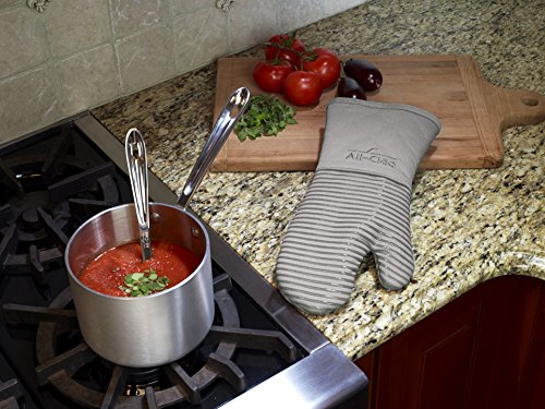 Premium Silicone Oven Mitt (Titanium / 1 Pack)