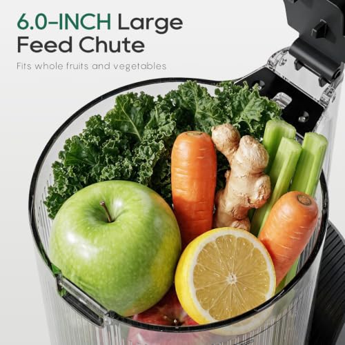 3-in-1 Cold Press Juicer C16, Makes Juice & Sorbet & Nut Milk (Pearl White)