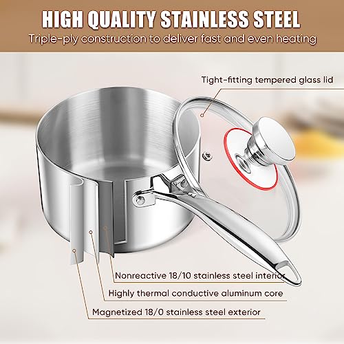Triply Stainless Steel Saucepan Set (1QT & 3QT)