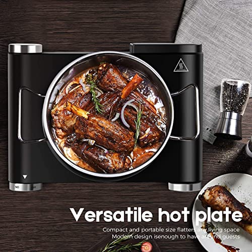 Hot Plate Electric Burner Single Burner Cast Iron hot plates for cooking Portable Burner 1500W with Adjustable Temperature Control Stainless Steel Non (Black / Single Burner)
